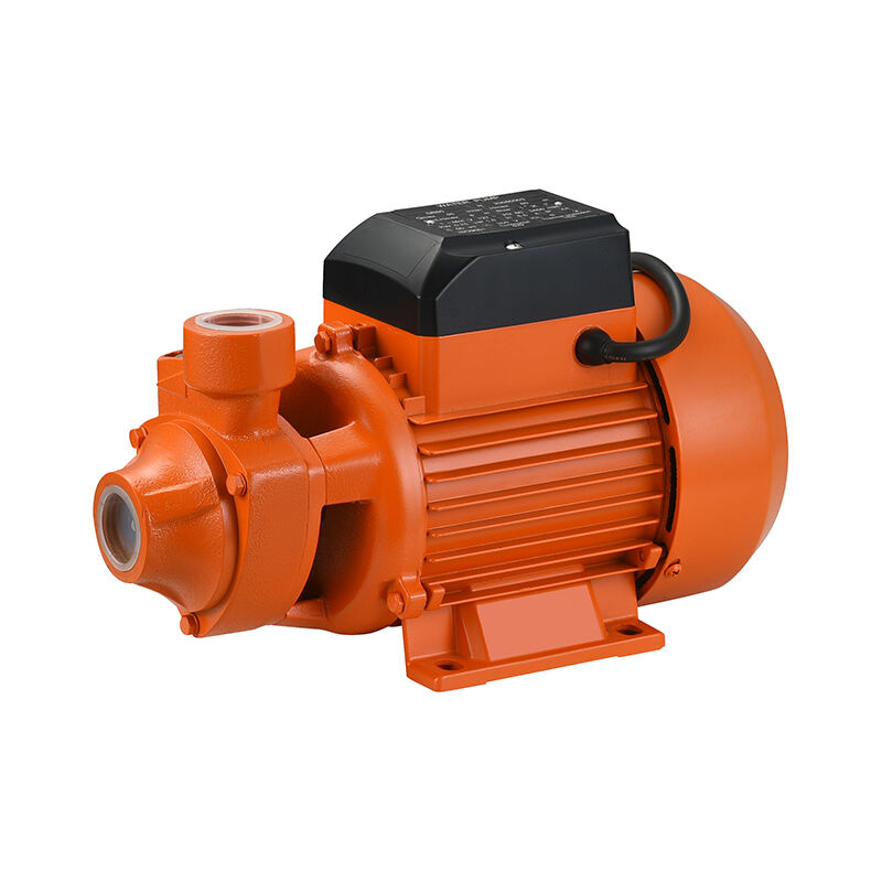 Lixing Peripheral Water Pump Boosting Pump QB Pump