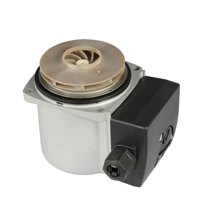 Lixing Wall Hang Bioler Pump Motors