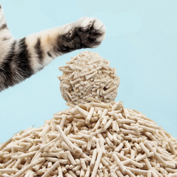 Tofu Cat Litter: Ang Pampunas ng Dumi na Talagang Pasasalamatan ng Iyong Pusa
