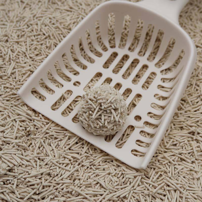 Natural and Completely Biodegradable