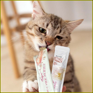 The Rise of Cat Treats: Keeping Your Feline Happy and Healthy