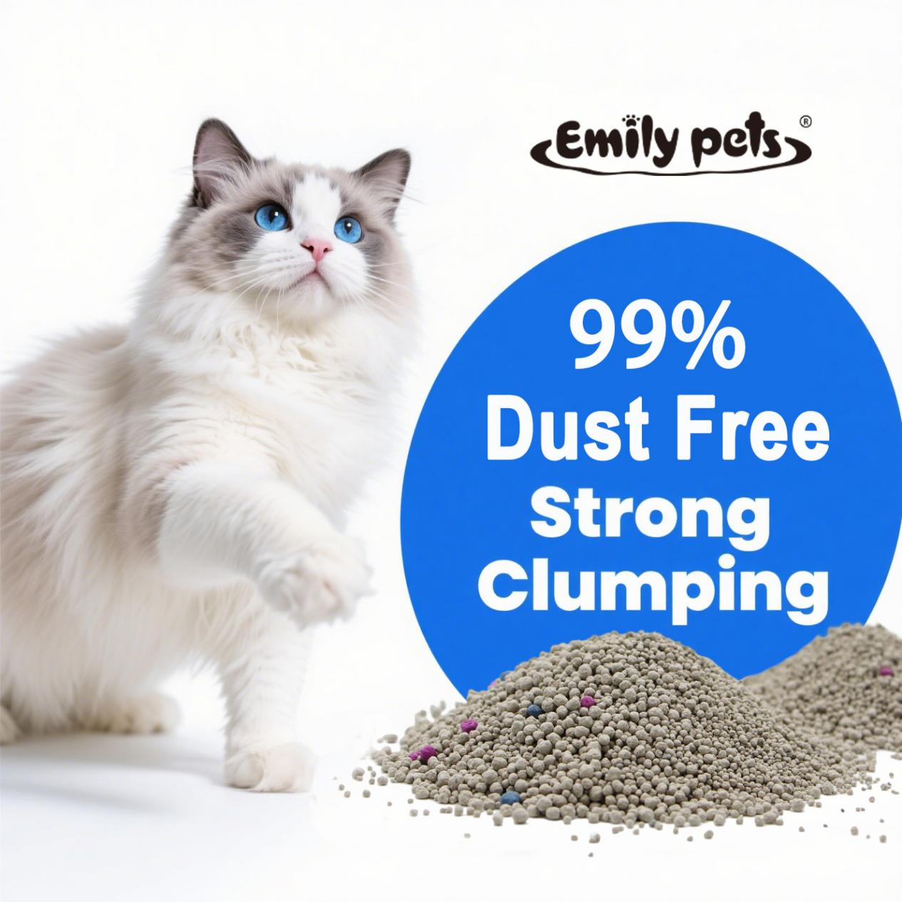 Cat Litter Bentonite Performa Tinggi dengan Kontrol Bau yang Ditingkatkan