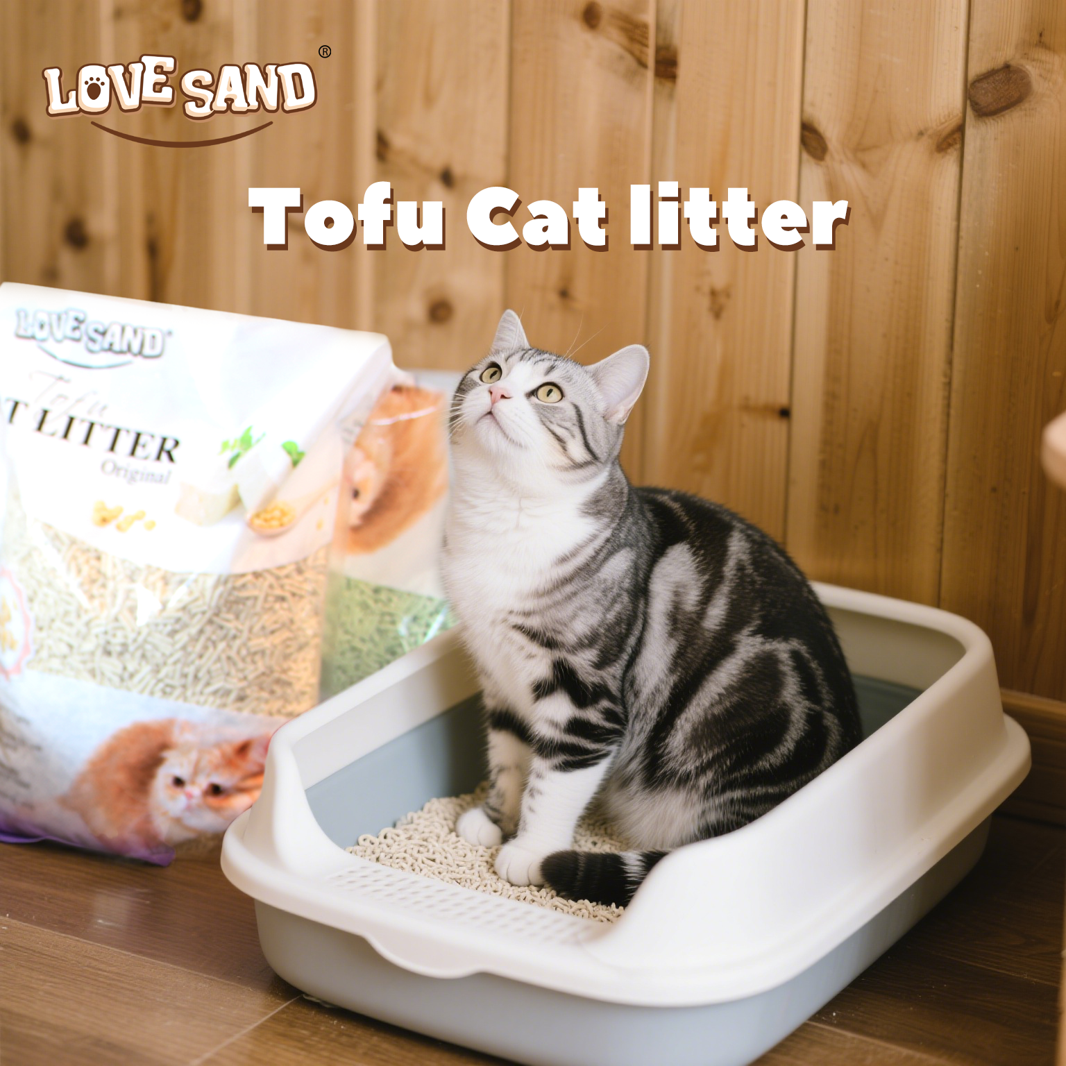 Apa yang Membuat Litter Kucing Tahu Pilihan yang Aman dan Ramah Lingkungan?