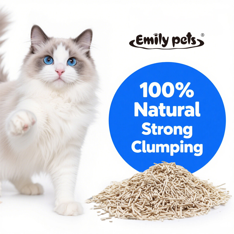 Mengapa Tofu Cat Litter adalah Pilihan yang Sempurna untuk Kucing Anda?