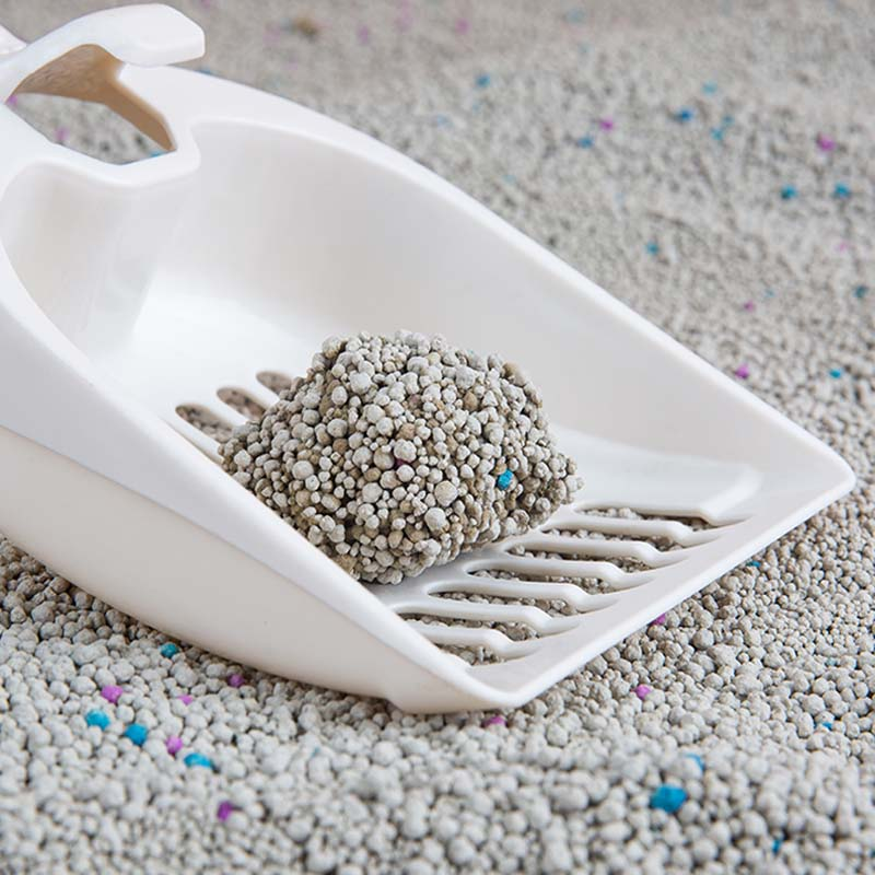 The Role of Cat Snacks in Training and Bonding