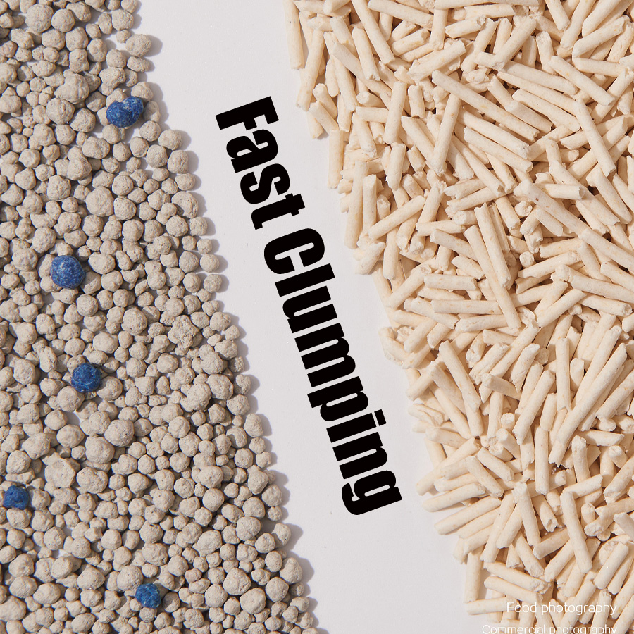 Pourquoi la litière à agglomération rapide est-elle idéale pour les foyers avec plusieurs chats ?