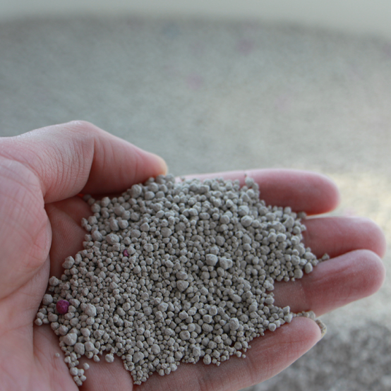 Ang Agham sa Likod ng Pagkontrol sa Amoy: Ano ang Gumagawa ng Tunay na Epektibong Pampunas ng Dumi ng Pusa?