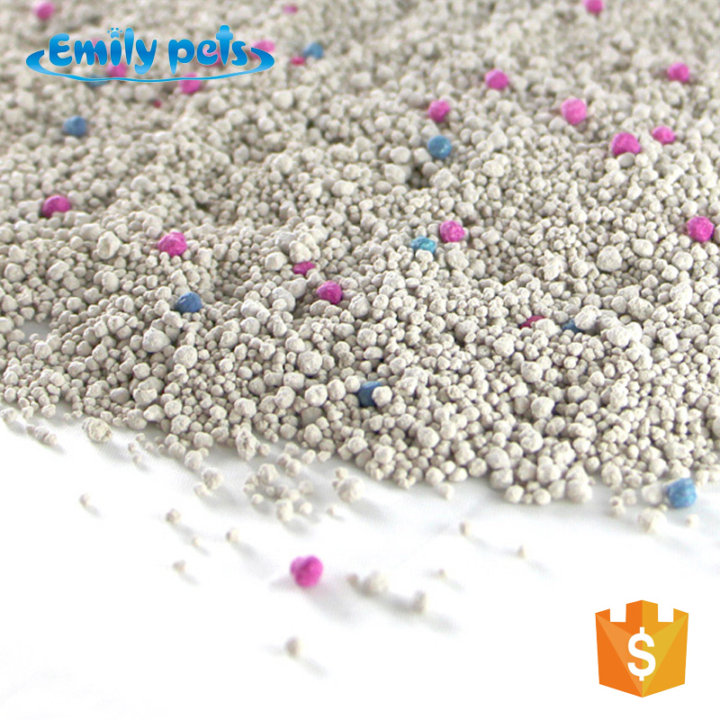 Comment identifier une litière pour chat véritablement sans poussière pour les chats souffrant de rhinite ?