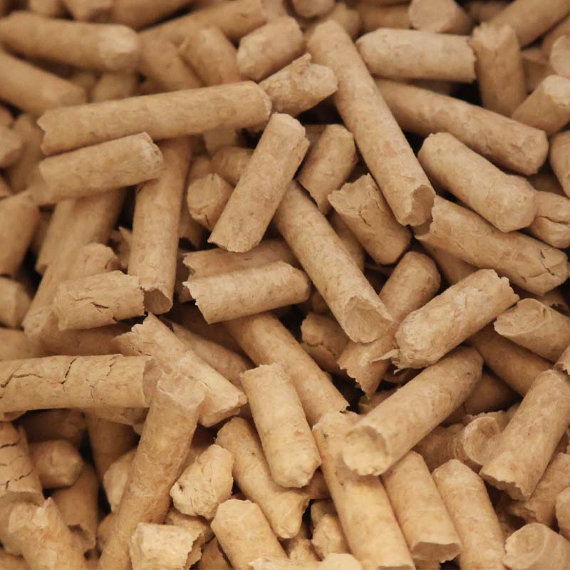 Les litières pour chat à base de pin sont-elles efficaces contre les odeurs et respectueuses de l'environnement ?