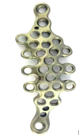 Anatomically Contoured Design for Optimal Fit