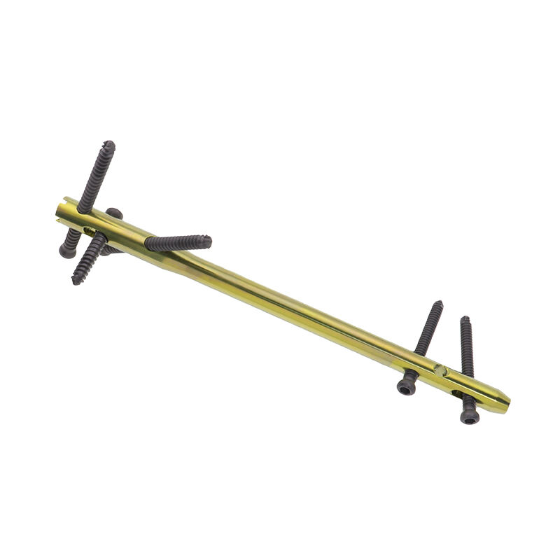 Advanced Anatomical Design and Stability