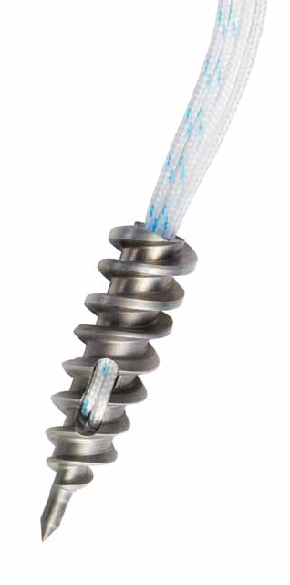 Enhanced Osseointegration Properties