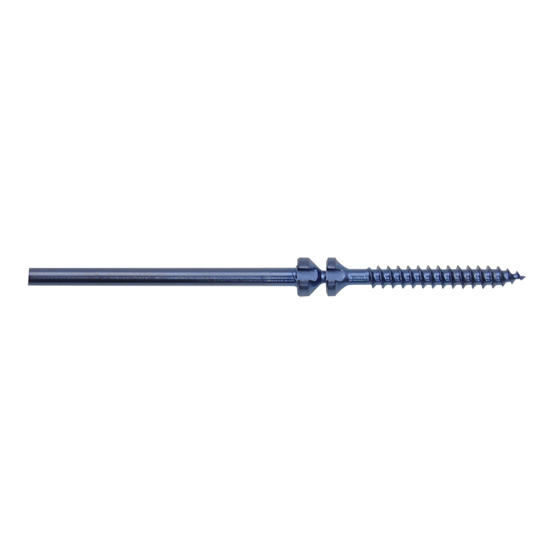 Biocompatible Materials Ensuring Long-Term Success