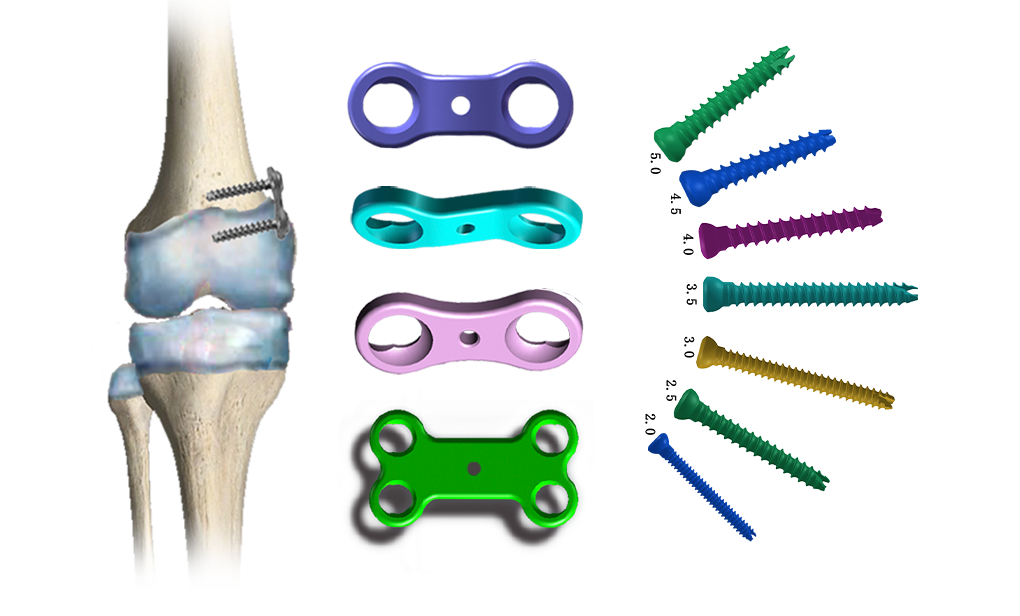 Materiale biocompatibile pentru o integrare îmbunătățită
