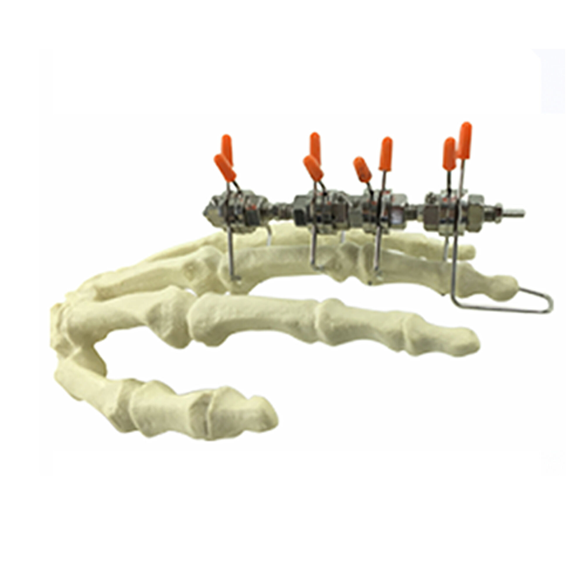 Precision Alignment and Adjustable Stabilization