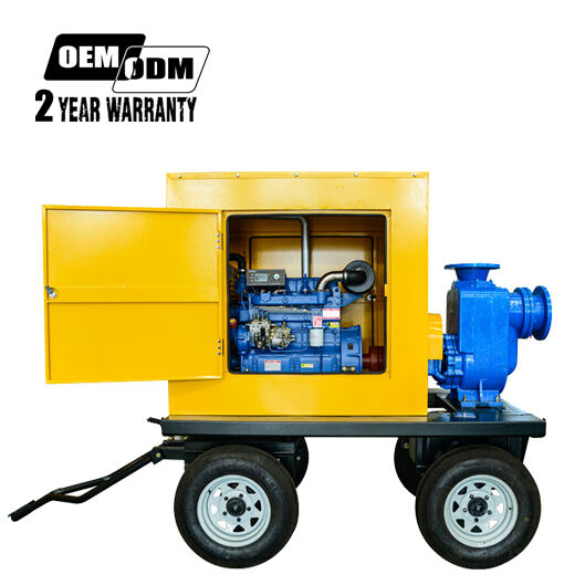 Diesel engine self-priming pump