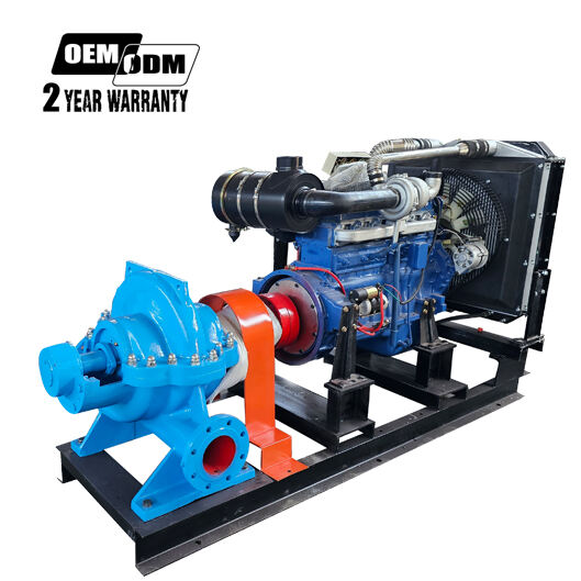 Split Case Centrifugal Pump