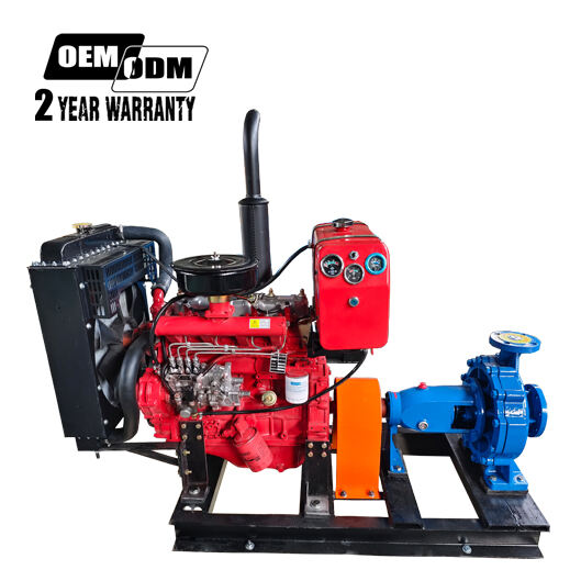 Diesel engine centrifugal pump