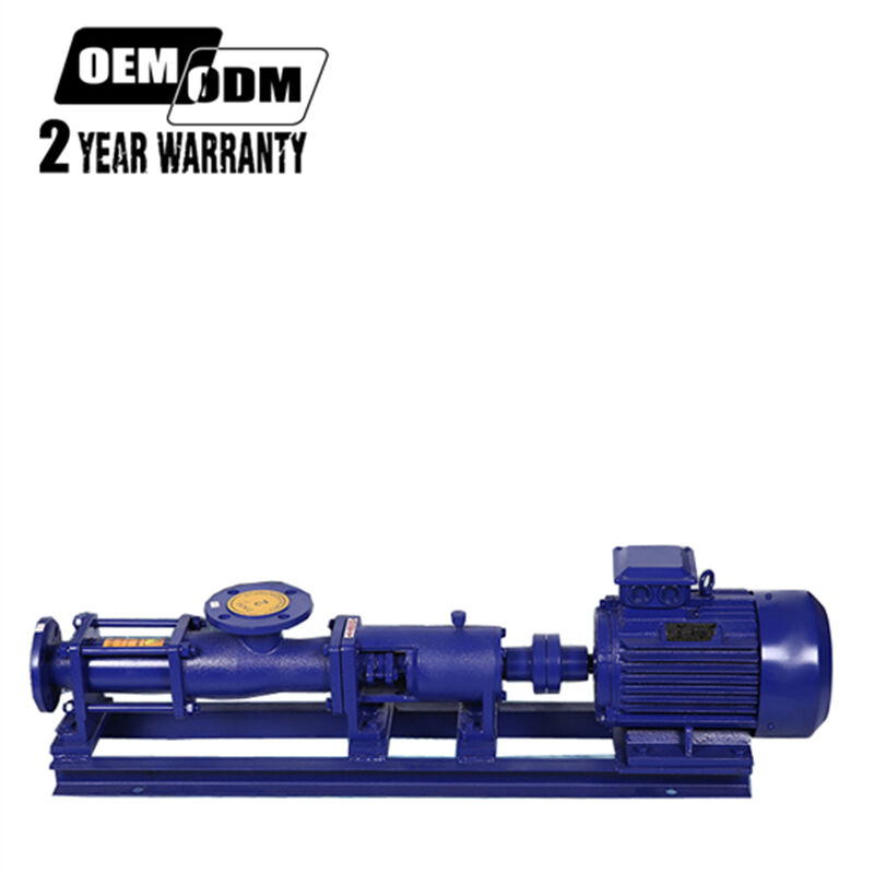 Cast iron screw pump