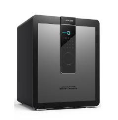 Why MORGIE Home Safes Are a Must-Have for Valuables