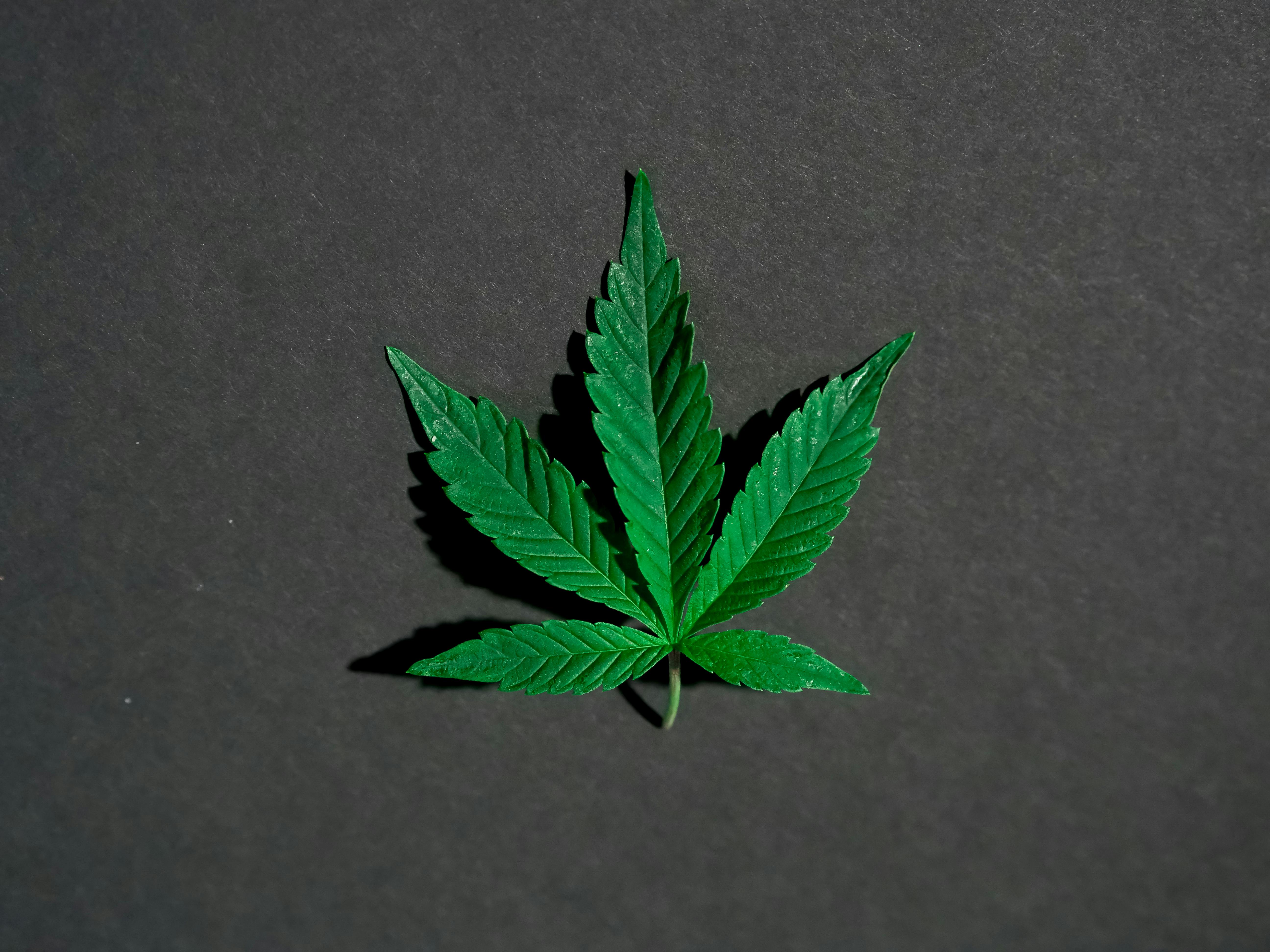 Custom Cannabis Cigarette Packaging Boxes for Premium Pre-Roll Brands