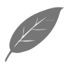 Eco-Friendly Material Application 