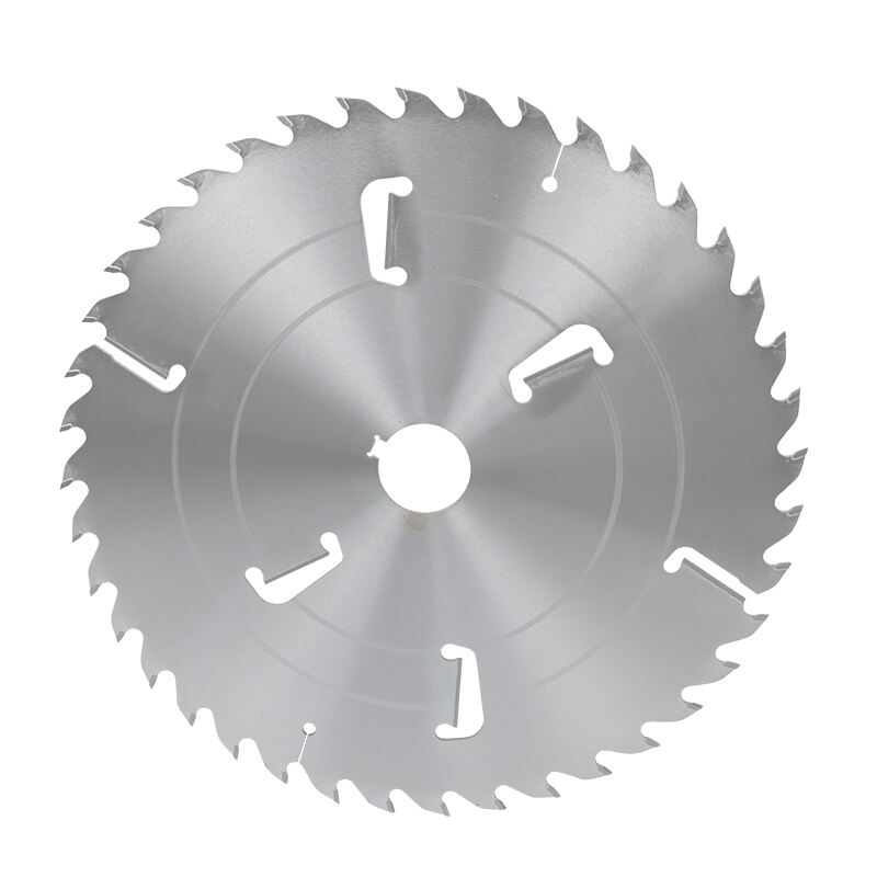 Multi-Rip Saw Blades with Rakers 