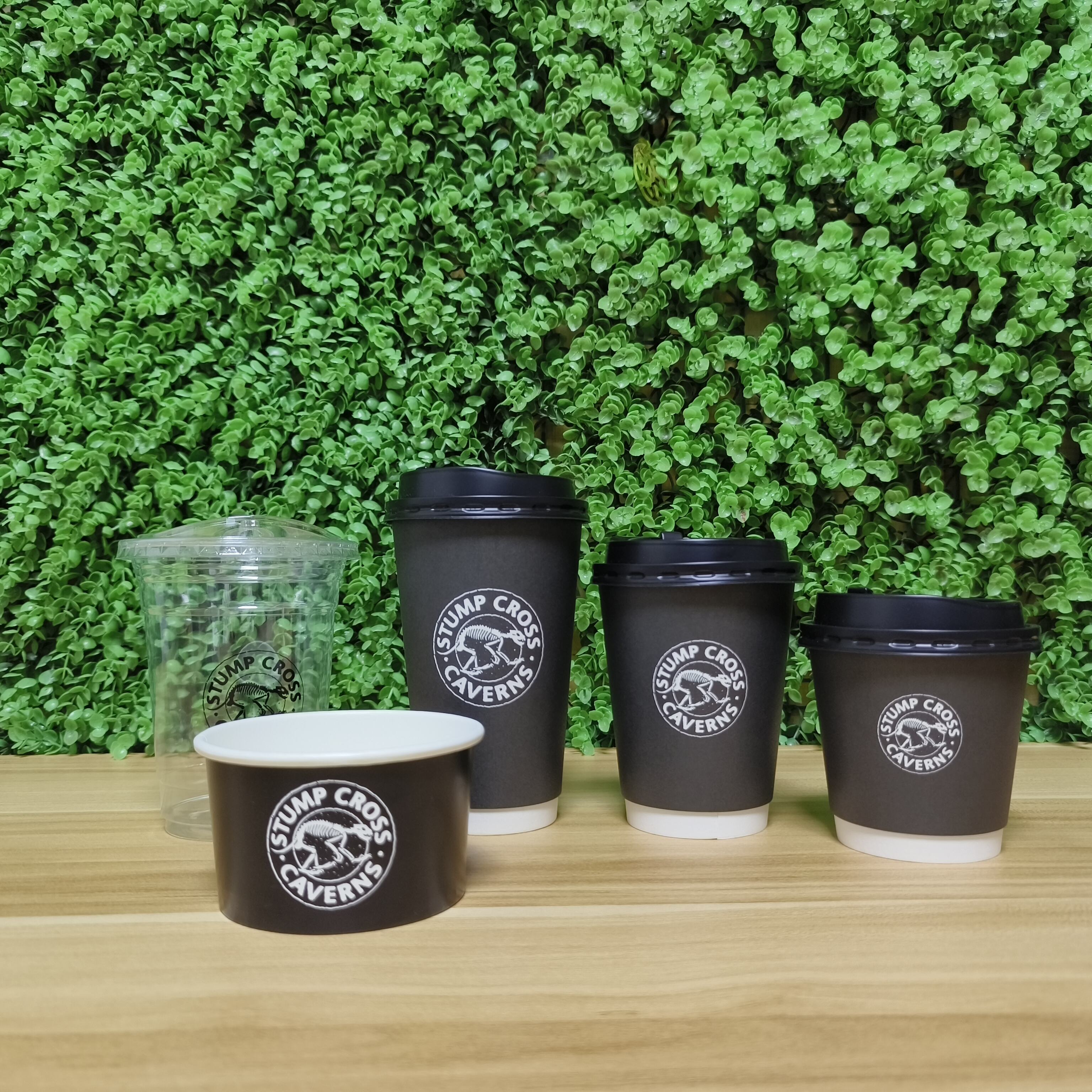 Sustainable Option for Shoppers With Environmental Consciousness