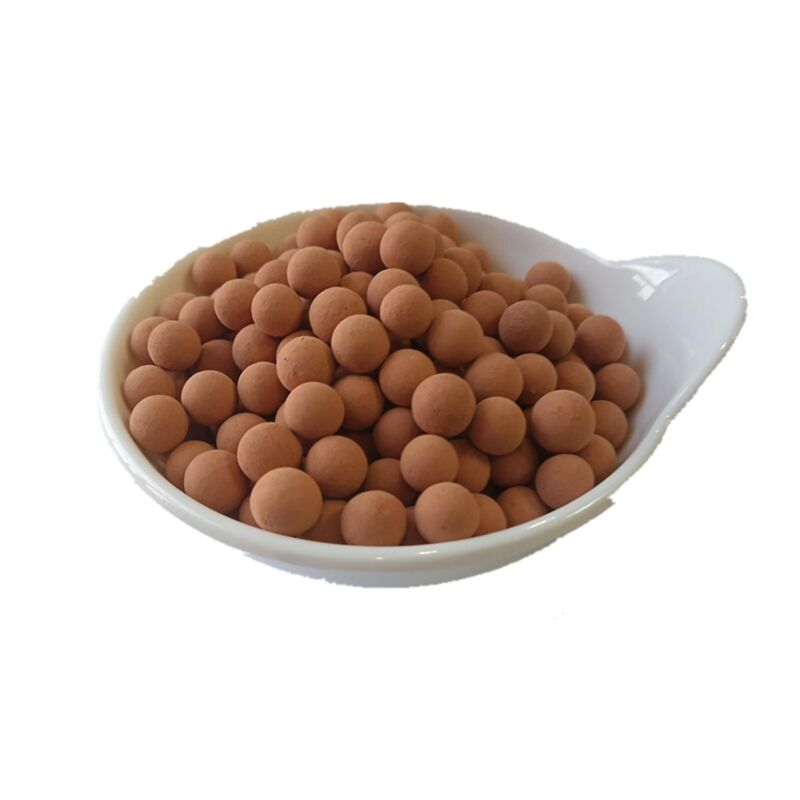 Caracteristici Unice ale Pietrei Noastre Medicinale pentru Purificarea Apei