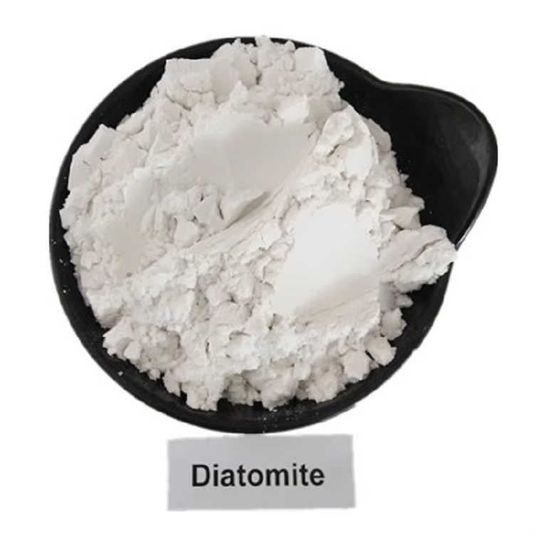 Common Industrial Uses of Diatomaceous Earth for Industrial Use