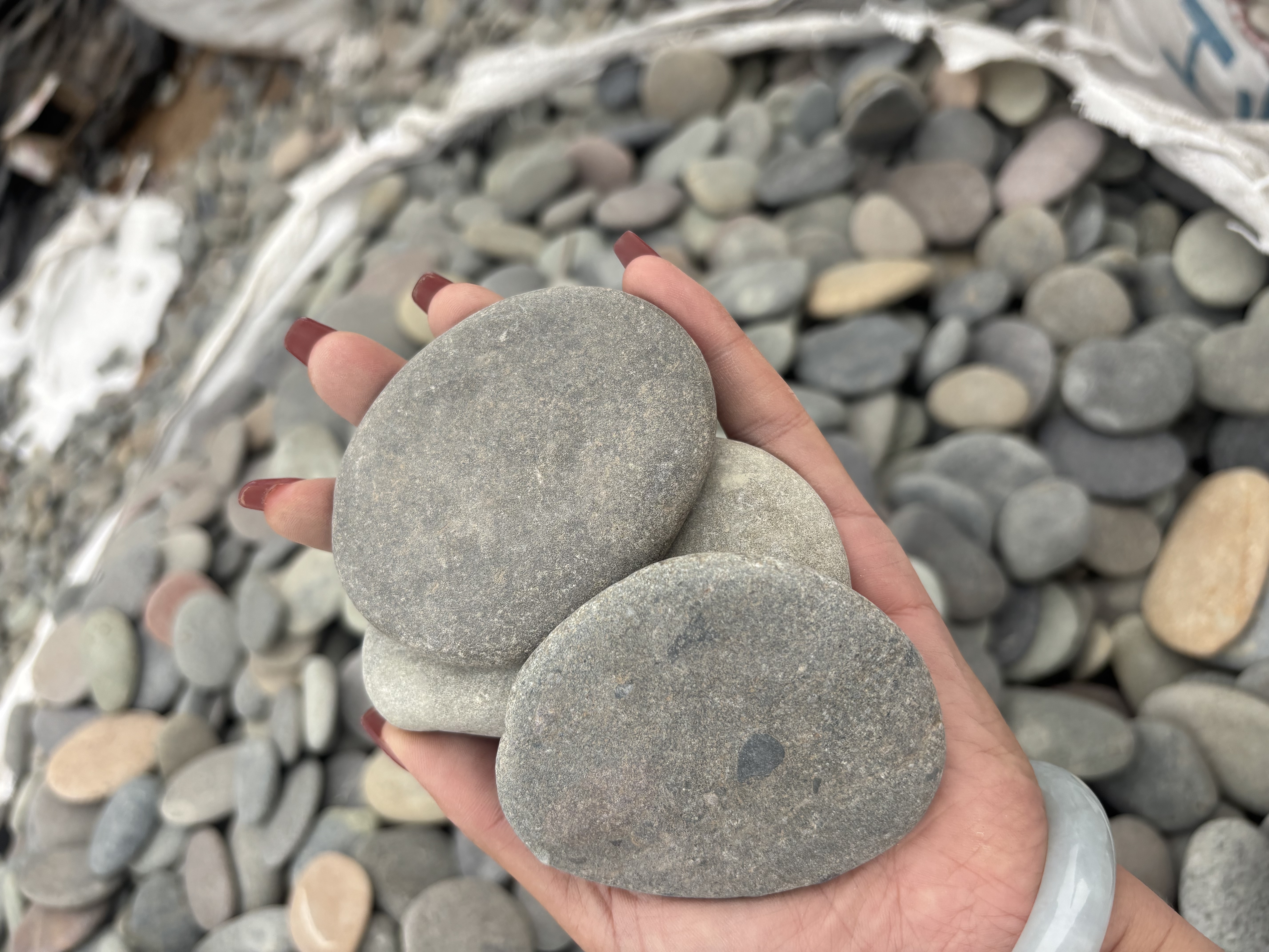 Versatilitate în Aplicații