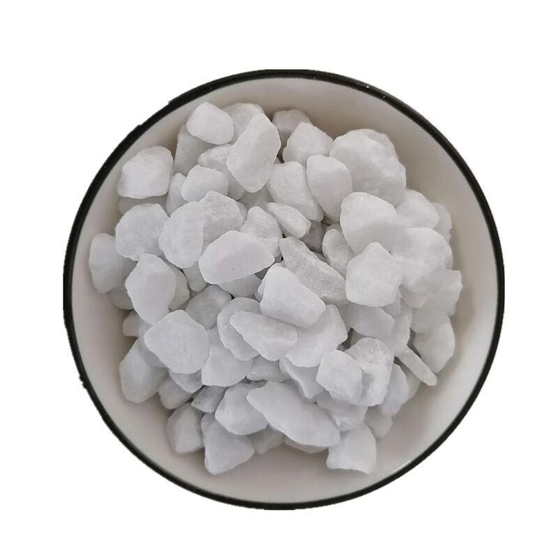 Customized Solutions for Diverse Needs