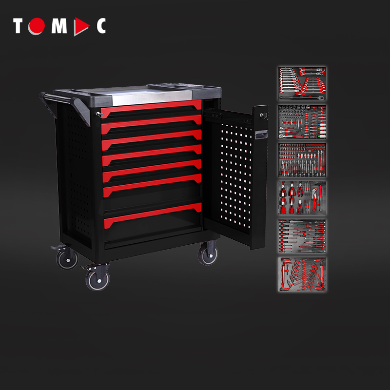 TC4276258 7 Drawers Cabinet with 258pcs tools in 6 drawers
