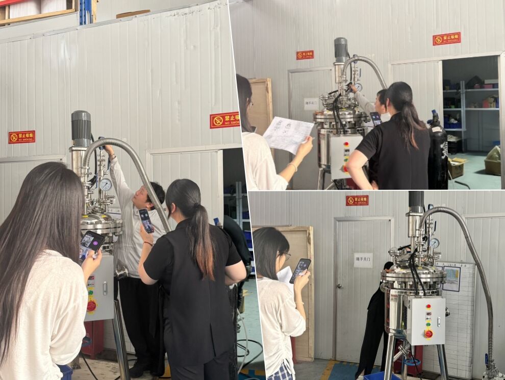 Remote Video Inspection of 100L Stainless Steel High-Pressure Reactor for German Chemical Research Client