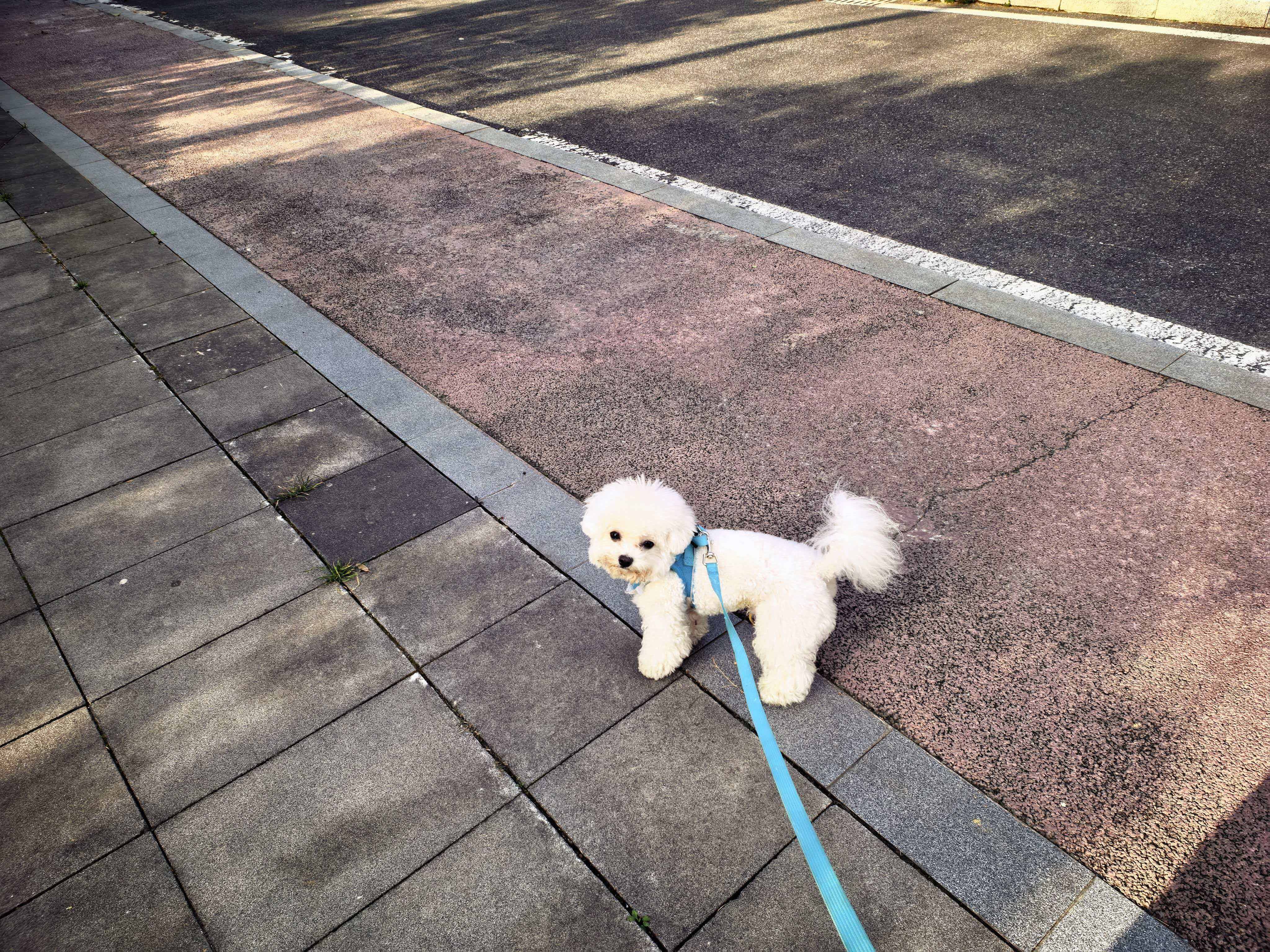 A Positive Start to the Day with Zanzan 