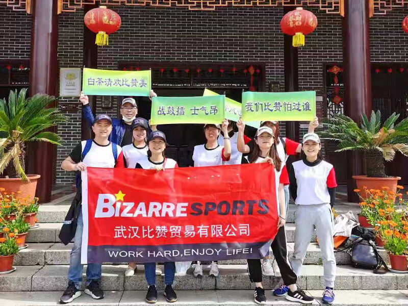 2013–2017 Perustamisvaihe: