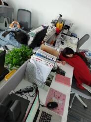 a day in the office hard work  warm camaraderie at bizarre sports-4