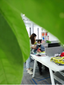 a day in the office hard work  warm camaraderie at bizarre sports-2