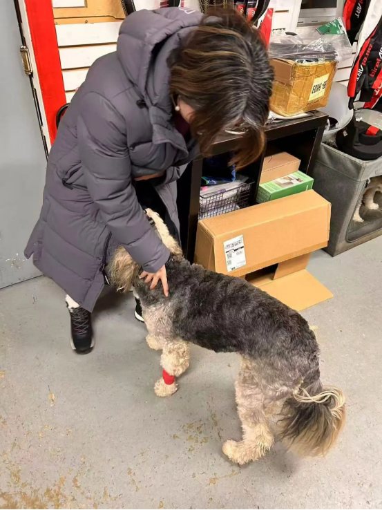 a year end reflection our last overseas client meeting before christmas 2025149-4