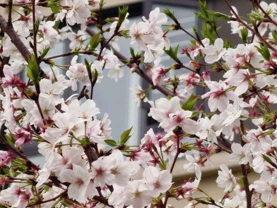 Industry Exchange: Learning, Sharing, and Moving Forward