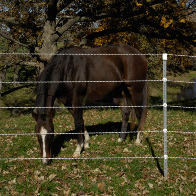 What Are the Benefits of Using Electronic Fence Rope Over Traditional Fencing?