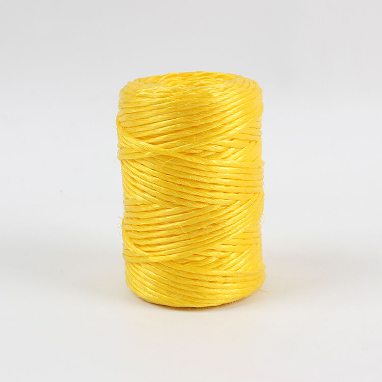 Ano ang Mga Pangunahing Benepisyo ng Paggamit ng PP Baler Twine sa Agrikultura?