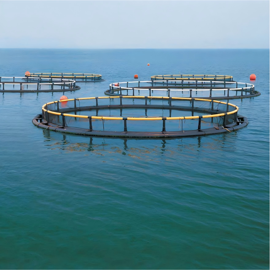 Mariculture