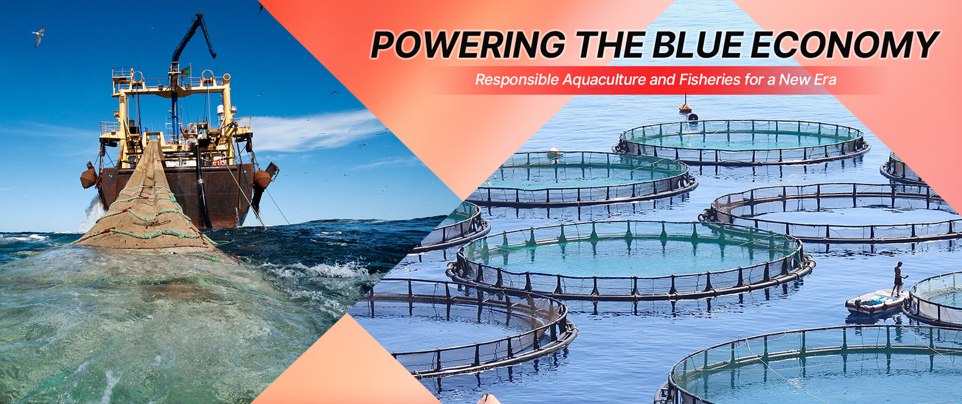 POWERING THE BLUEECONOMY