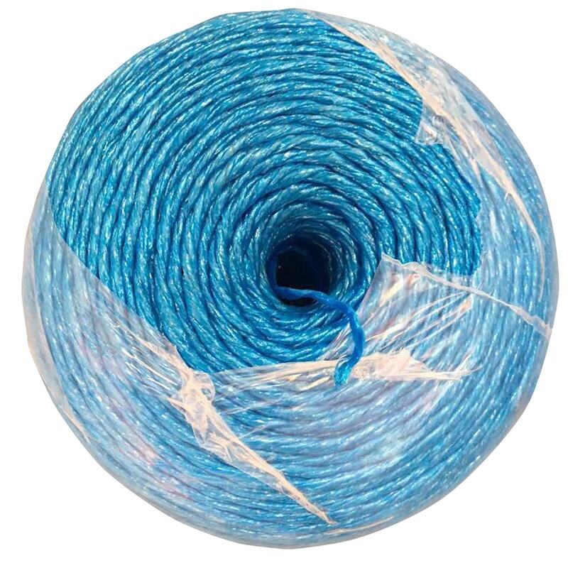 Anong Karaniwang Isyu sa Paggamit ang Dapat Mong Malaman Tungkol sa Blue Polypropylene Rope?