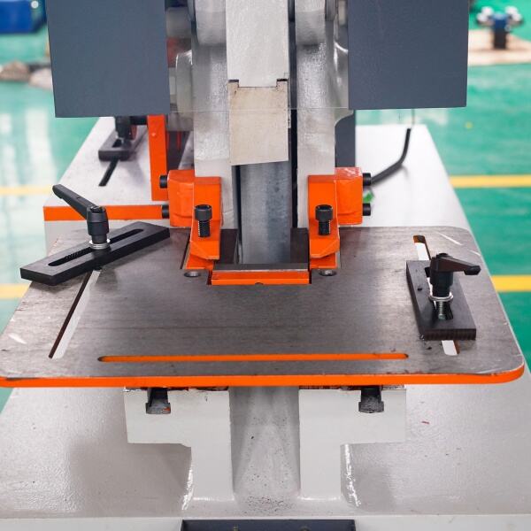 Variety of Options for Specific Requirements