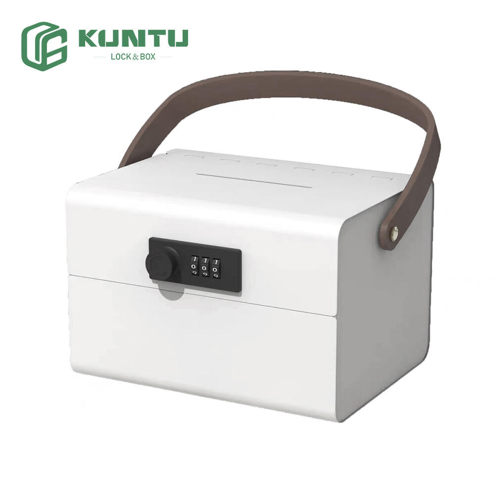 The Lightest Portable Safe Boxes for Easy Carrying