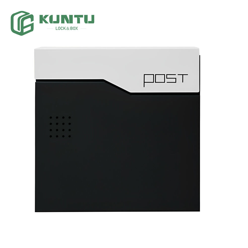 Iron Mailbox with Built-In Letter slot and Rear Access Door and Elegant Design make it a reliable choice