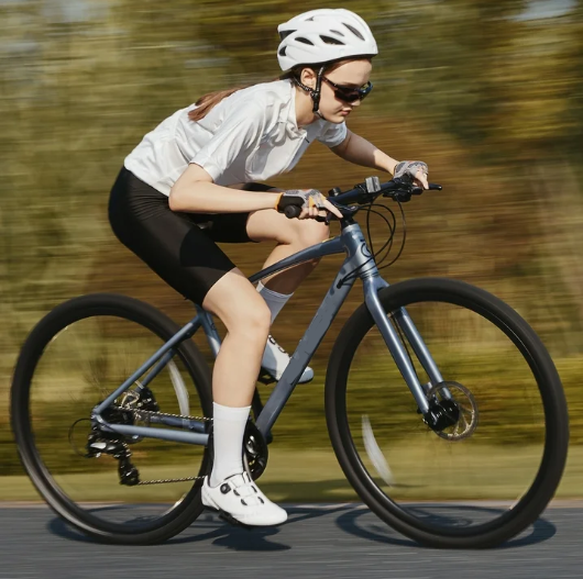 ניהול צי כלכלי