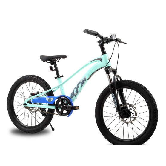 20-inch Magnesium Alloy Fork Pedal Bike for Elementary School Boys and Girls Magnesium Alloy Single Bicycle Big Kids' Bike